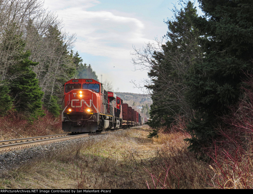 Flying Rubber leads train 402 near MP127